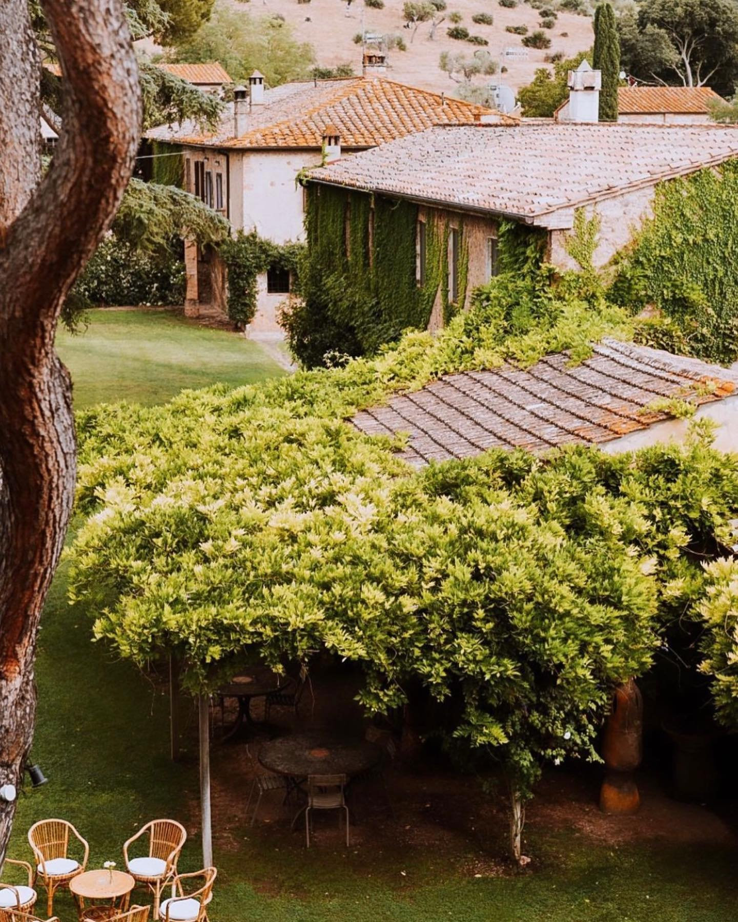 The Wedding Website of Sophie Levine and Keller Pilch