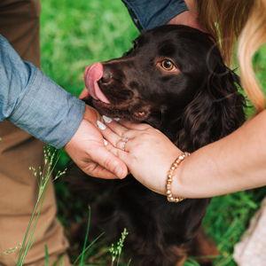 Ryder's Toy & Treat Fund