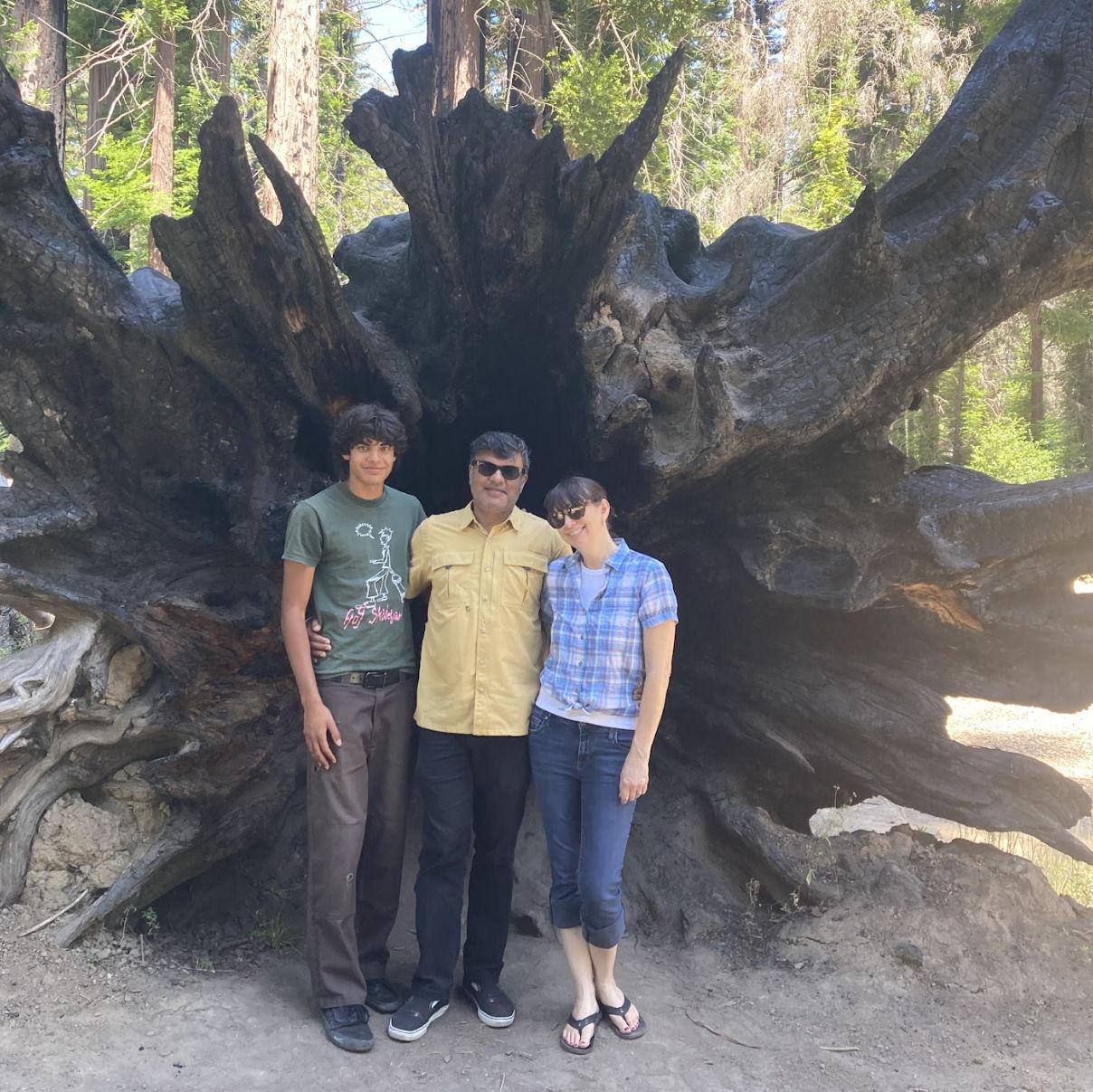 Siddhartha, Bali, & Meadow hiking in Big Basin. July 2025. Look how much Sid has grown in the five years I've known him!
