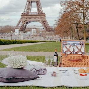 Picnics in Paris (Honeymoon)