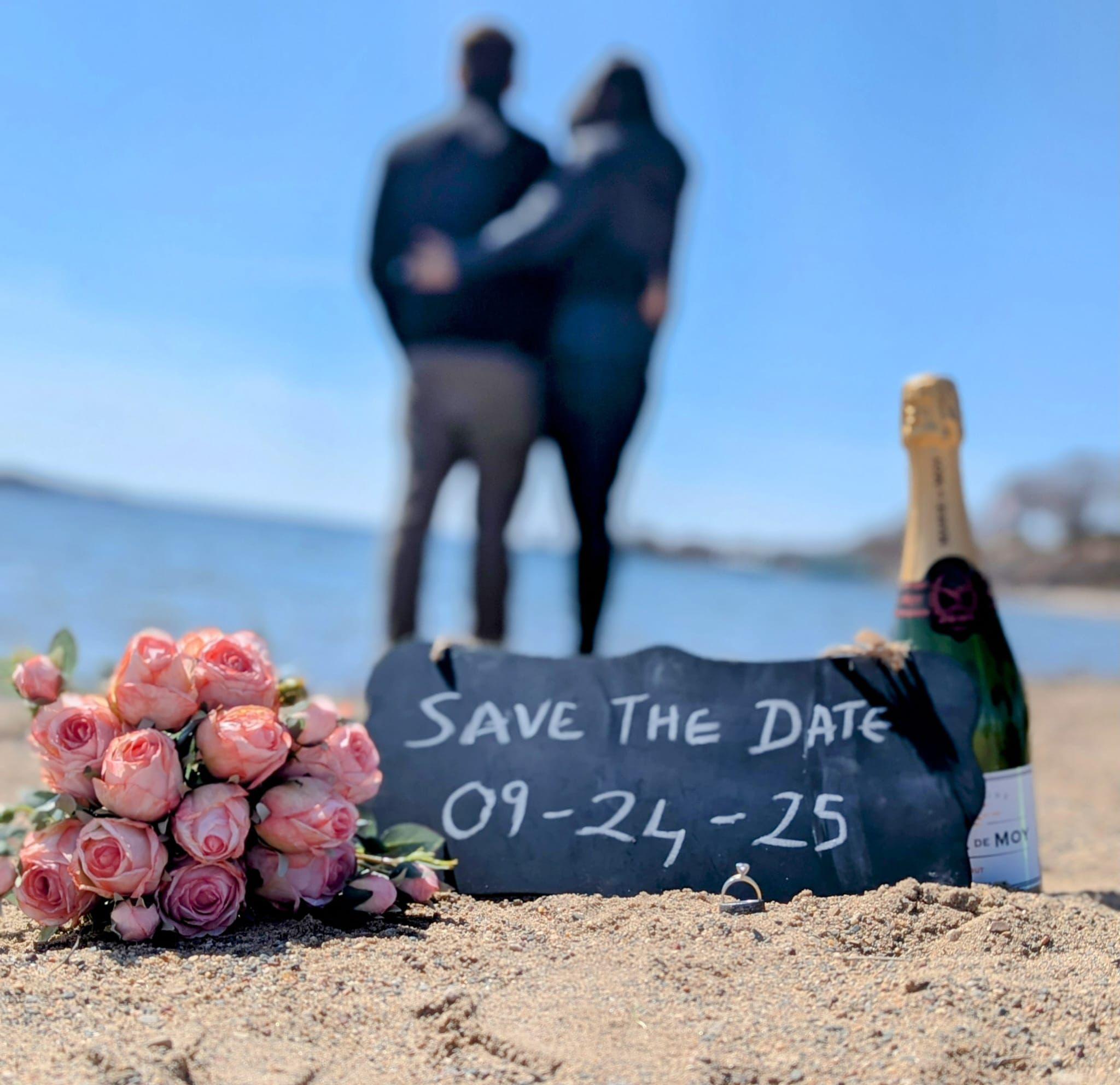 The Wedding Website of Rima D'Costa and Aaron Klein