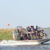 Alligator Cove Airboat Nature Tours