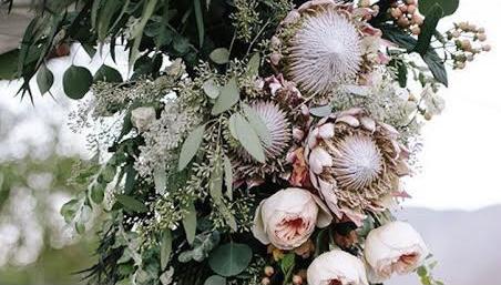 The Wedding Website of Marcia Ghedina and Kyle Holmes