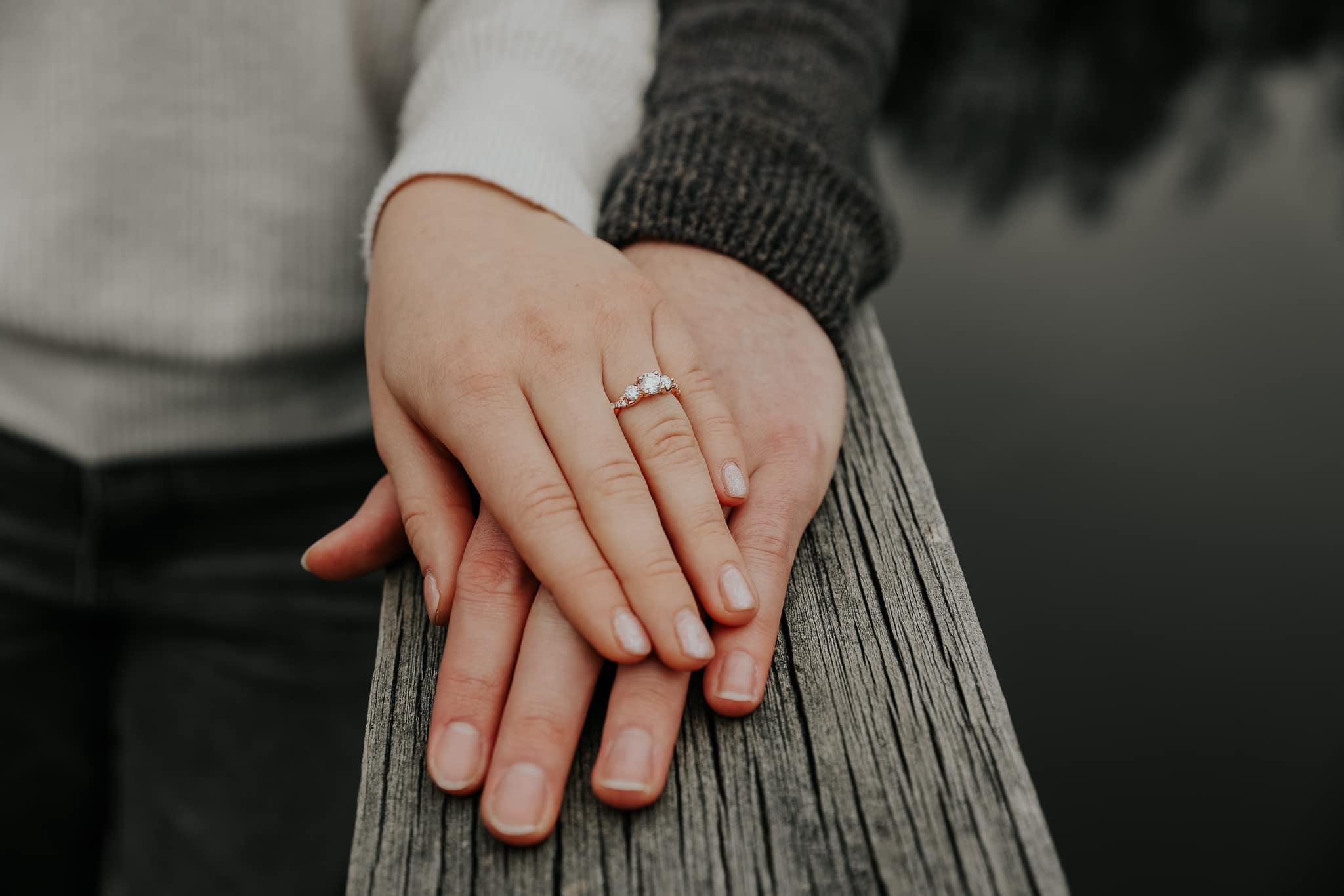 The Wedding Website of Alyssa Tessmer and Nathanael Plocher
