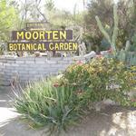 Moorten Botanical Garden