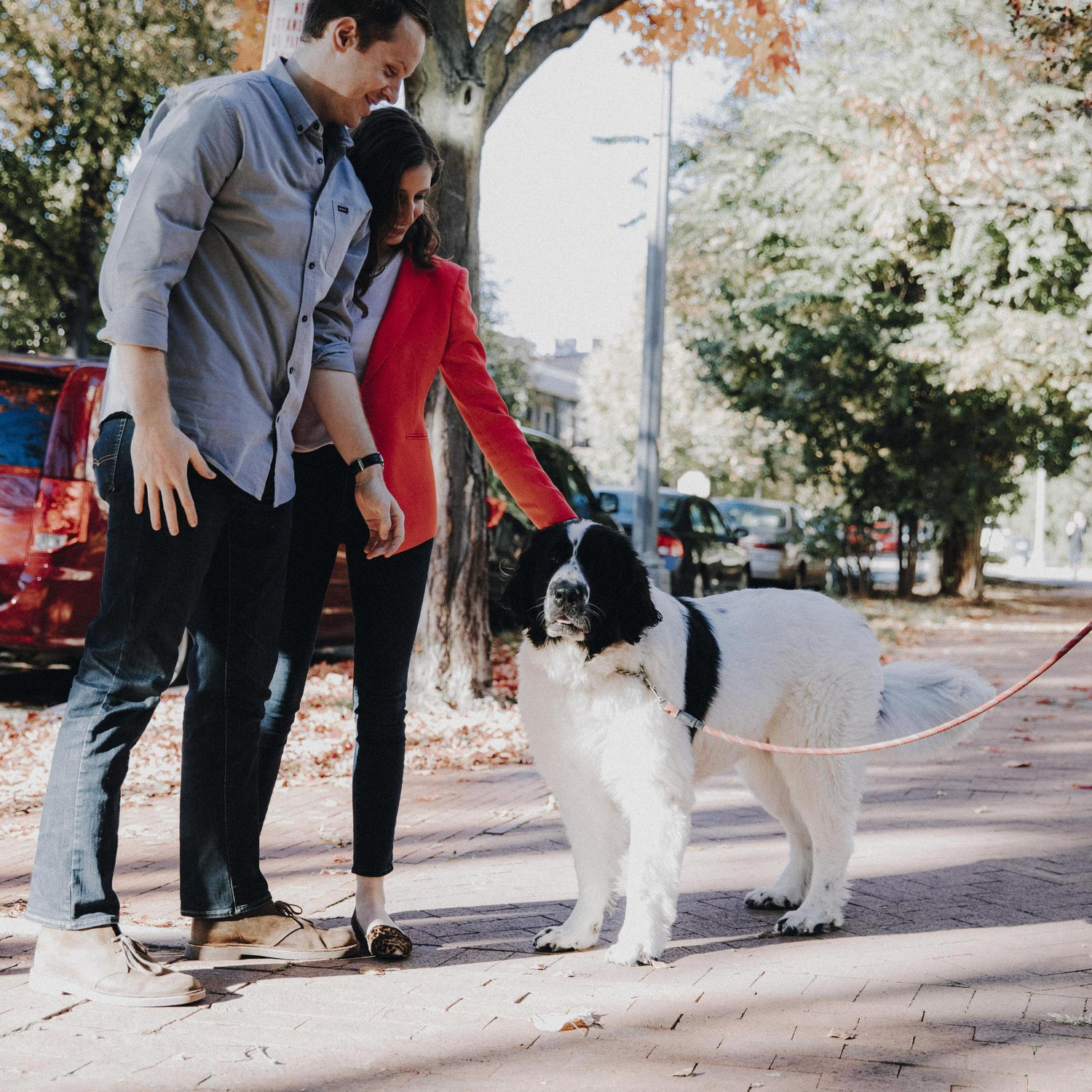 Caught in the act during one of our favorite activities--making new dog friends