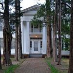 Rowan Oak