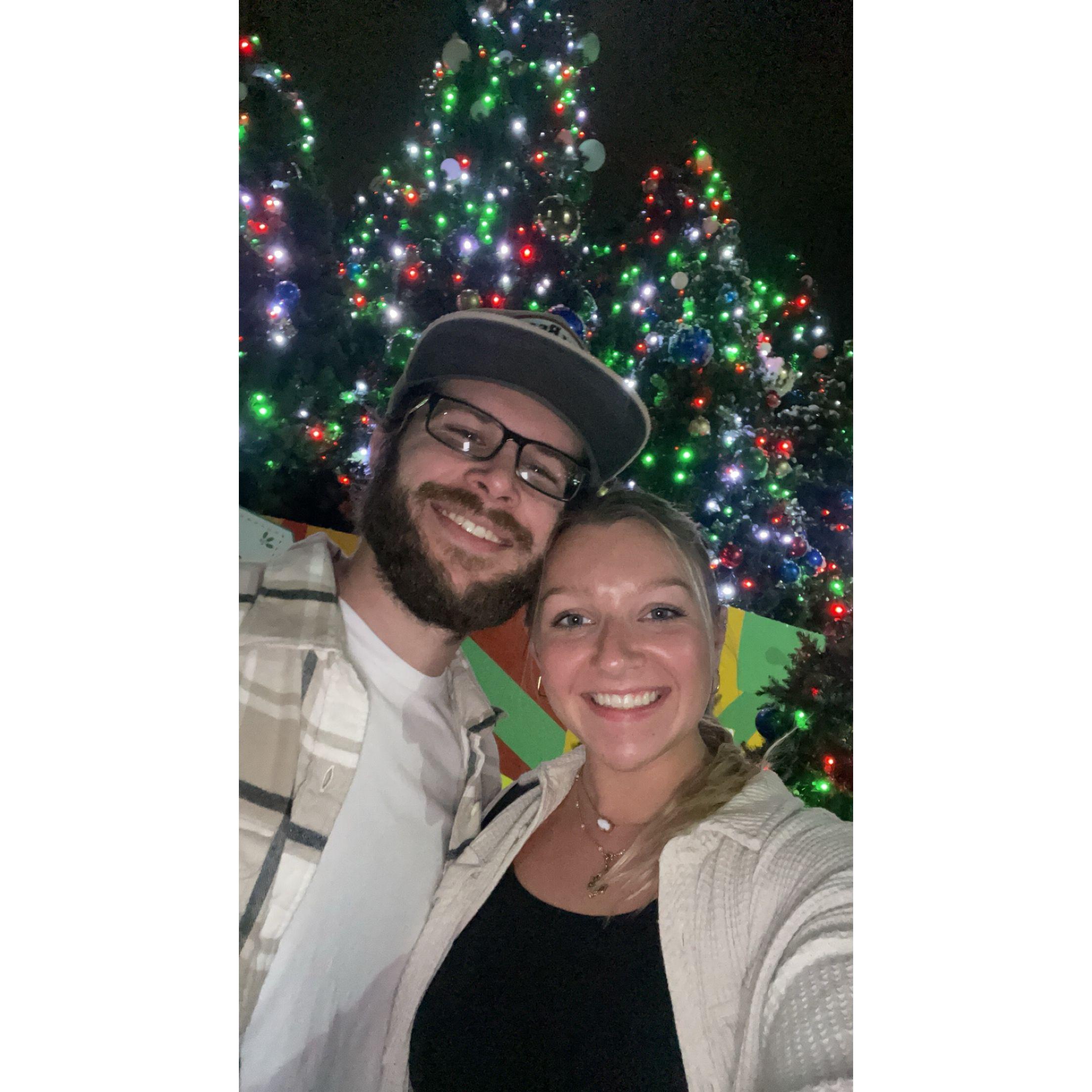 Christmas at the Zoo