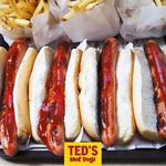 Ted's Hot Dog