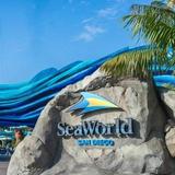 SeaWorld San Diego