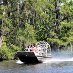 Swamp Tour New Orleans