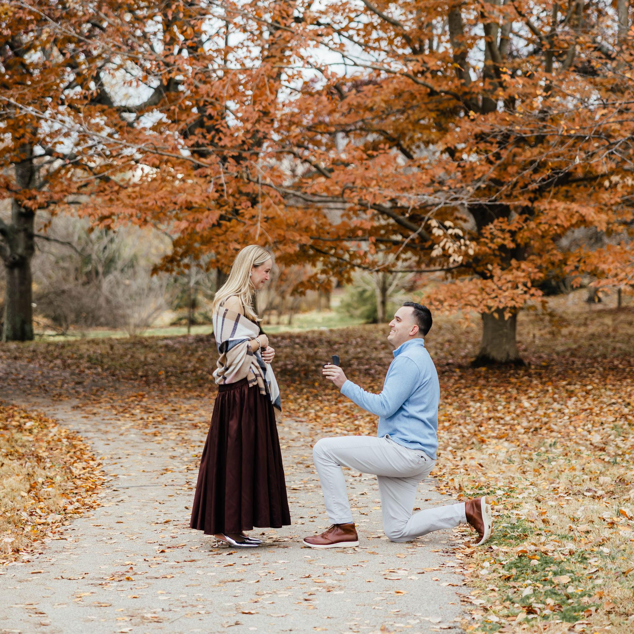 The Proposal!!! (November 2025)