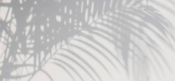 The Wedding Website of Leslie Godwin and Derek Garlich