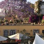 Casa Nostra Restaurant, Terrace and Rooftop