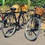 Wine Country Bikes