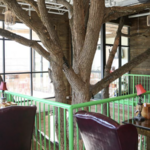 Charlotte Beer Garden