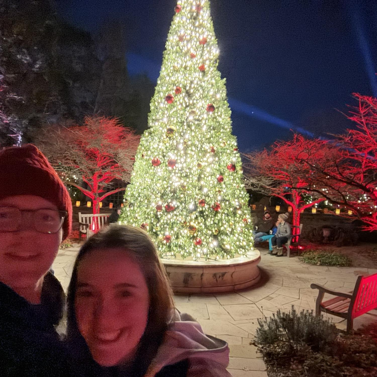 Christmas Lights at Botanica Wichita, 2024.