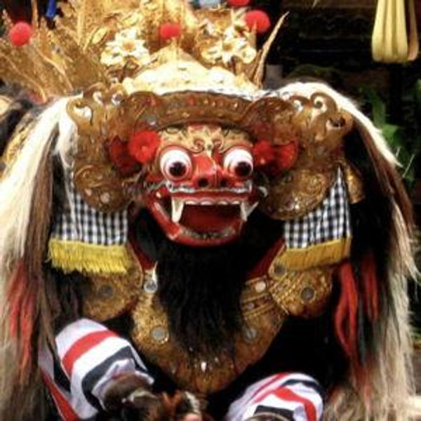 Carnival Experience in Bali