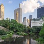 Central Park
