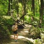 Best Hikes Nearby!