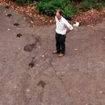 Dinosaur Footprints