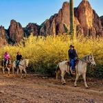Saguaro Lake Ranch Stables