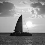 Catamaran Sunset Cruises