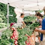 Great Barrington Farmer's Market