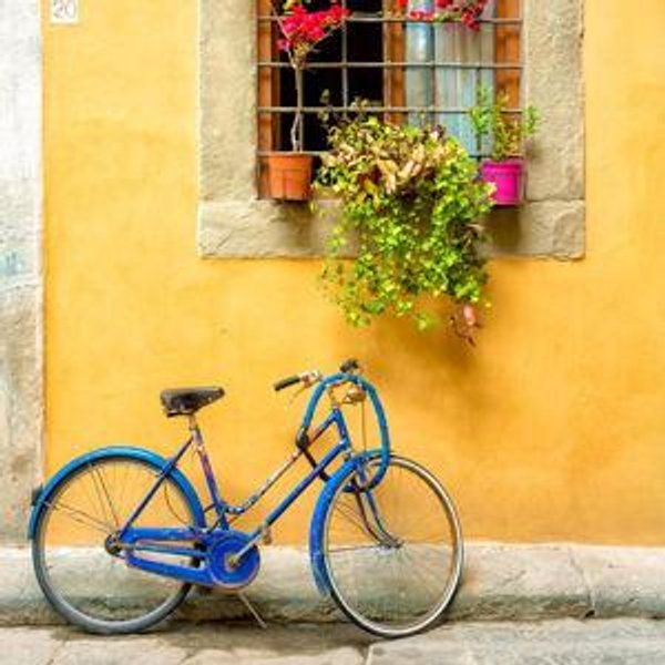 Bike Rentals in Florence