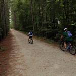 American Tobacco Trail - Wimberly Road Crossing (Greenway)