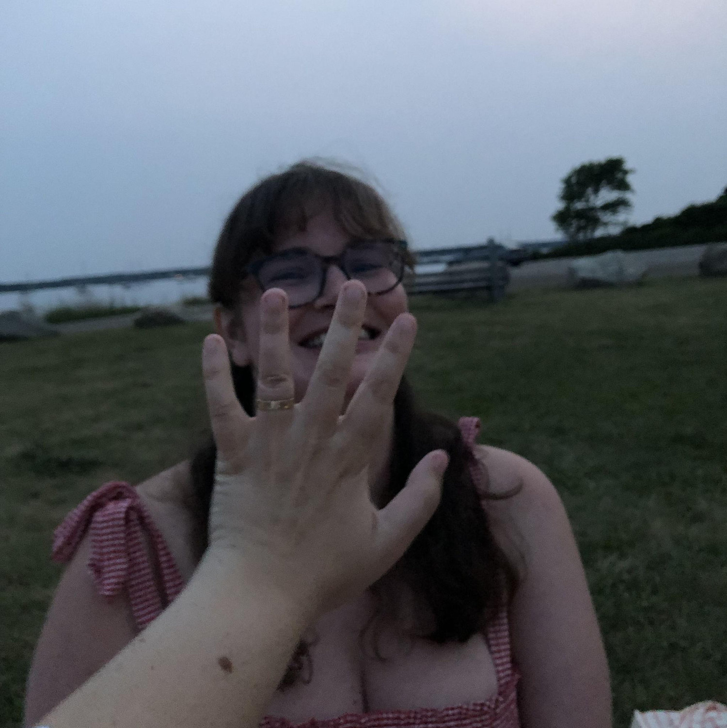 Virginia proposed during a sunset picnic at Ned's Point in Mattapoisett, the town where we first met!