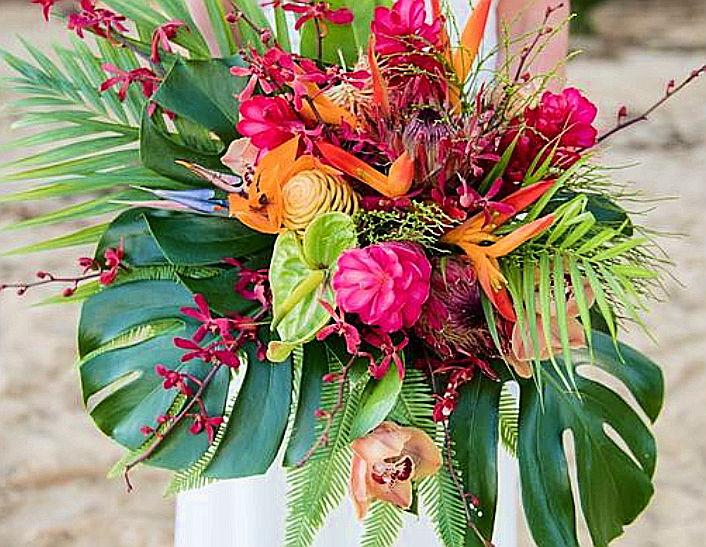 The Wedding Website of Amanda Bajhart and Jake Blaker