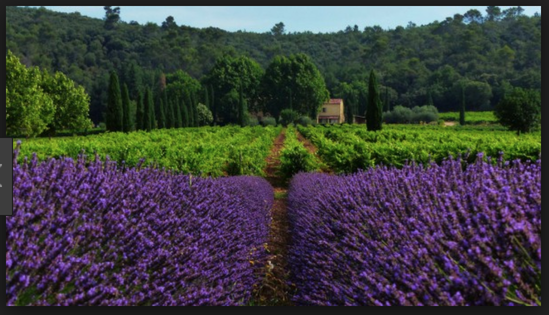 The Wedding Website of Sophie Duron and Jean Meneses