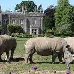 Cotswold Wildlife Park & Gardens