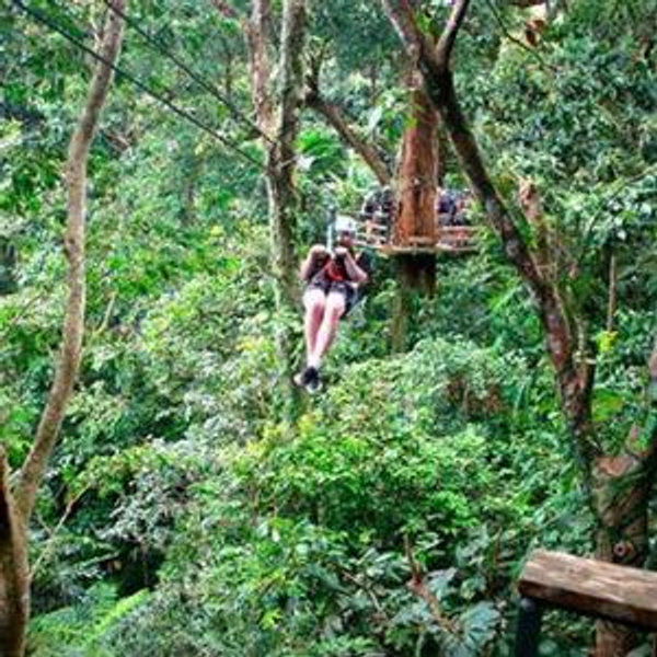 Canopy Zipline Adventure