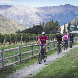 Winery Bike Tour