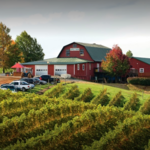 Carter Mountain Orchard