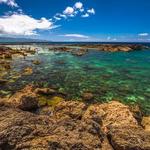 Sharks Cove