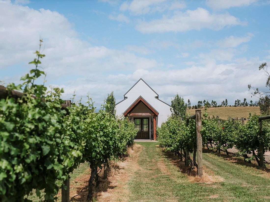The Wedding Website of Jill Montplaisir and Daniel Peeters