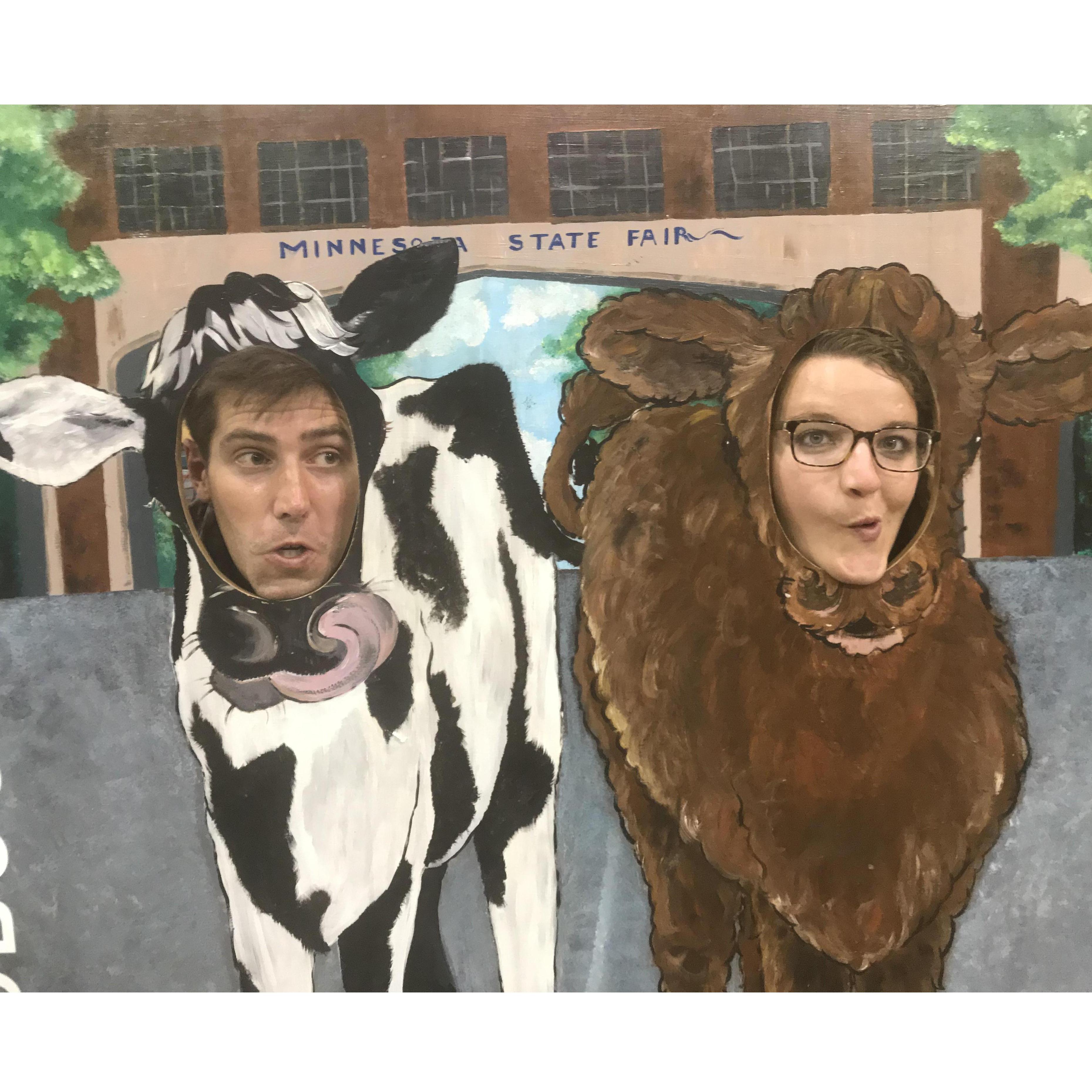 Cows are fun!