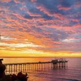 Ellen Browning Scripps Park (Best Sunset Spot!)