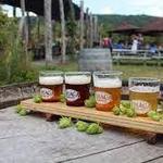 Ithaca Beer Co