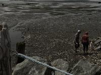 Taylor Shellfish Farms