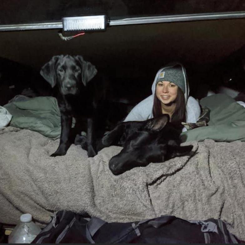 Covid road trip camping in the truck bed. Black Hill National Forest