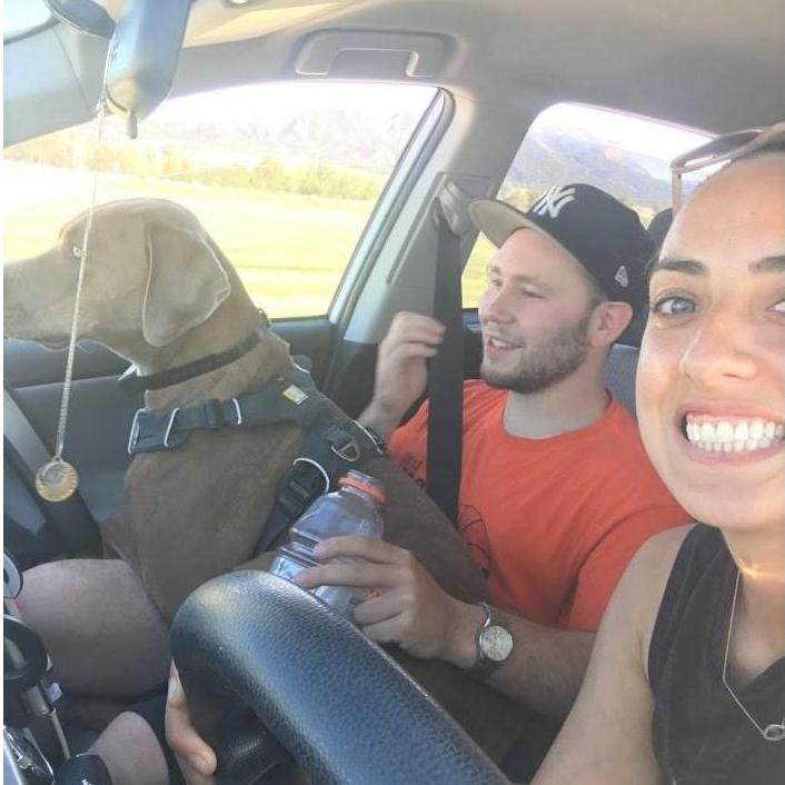We somehow picked a dog who will only sit in the front seat on our road trips!