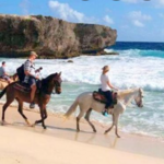 Horseback Riding Tours