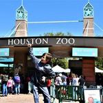 Houston Zoo