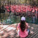 Aviario Nacional de Colombia