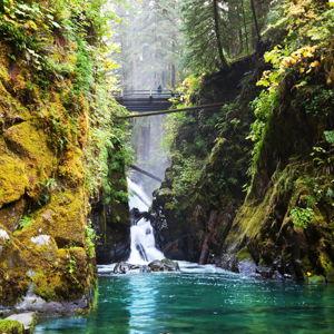 Pacific Northwest Roadtrip Honeymoon Fund