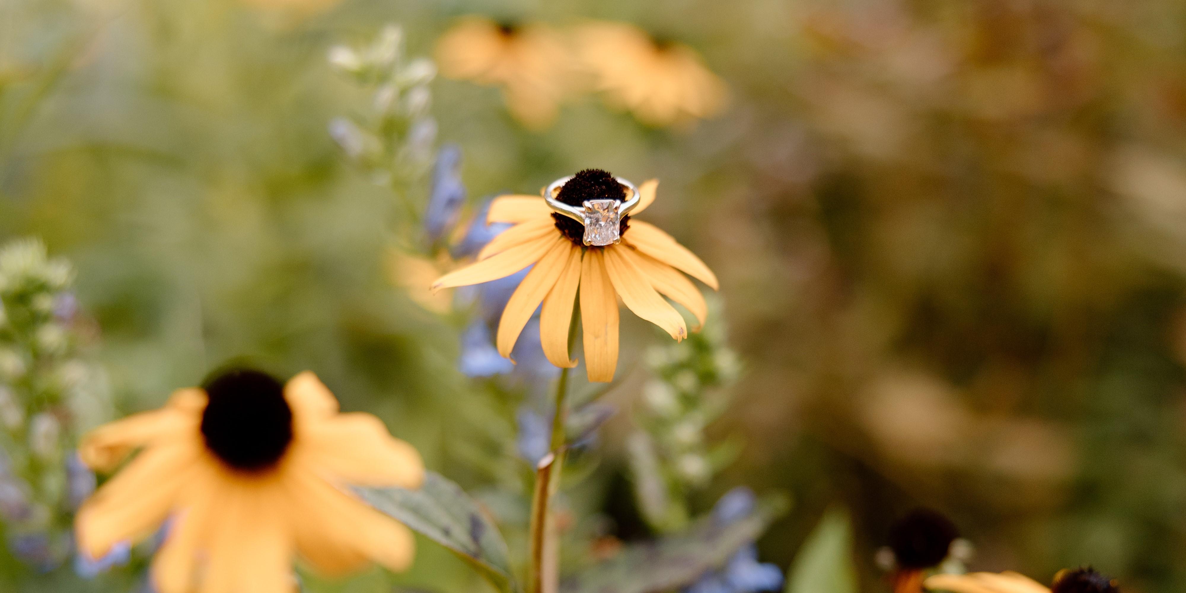 The Wedding Website of Samantha Stoll and Alexander Cassar
